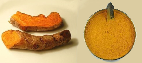 Turmeric, Two Forms